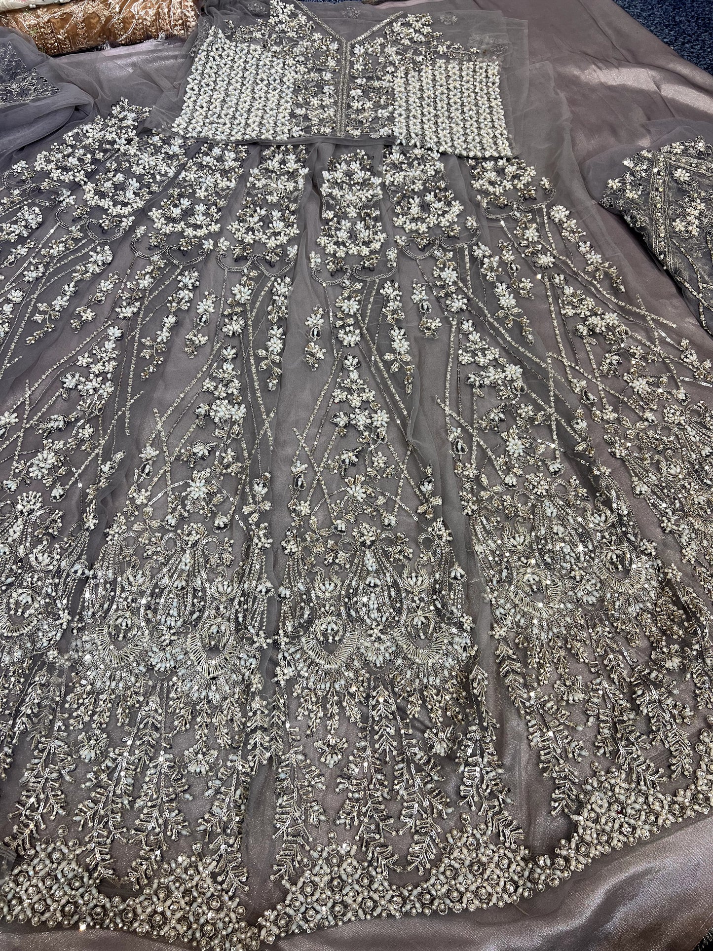 Erum Khan - Moonlit Majesty