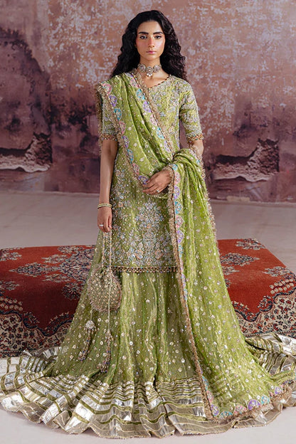 SRA - Luxury Handmade Shadan Farshi Gharara