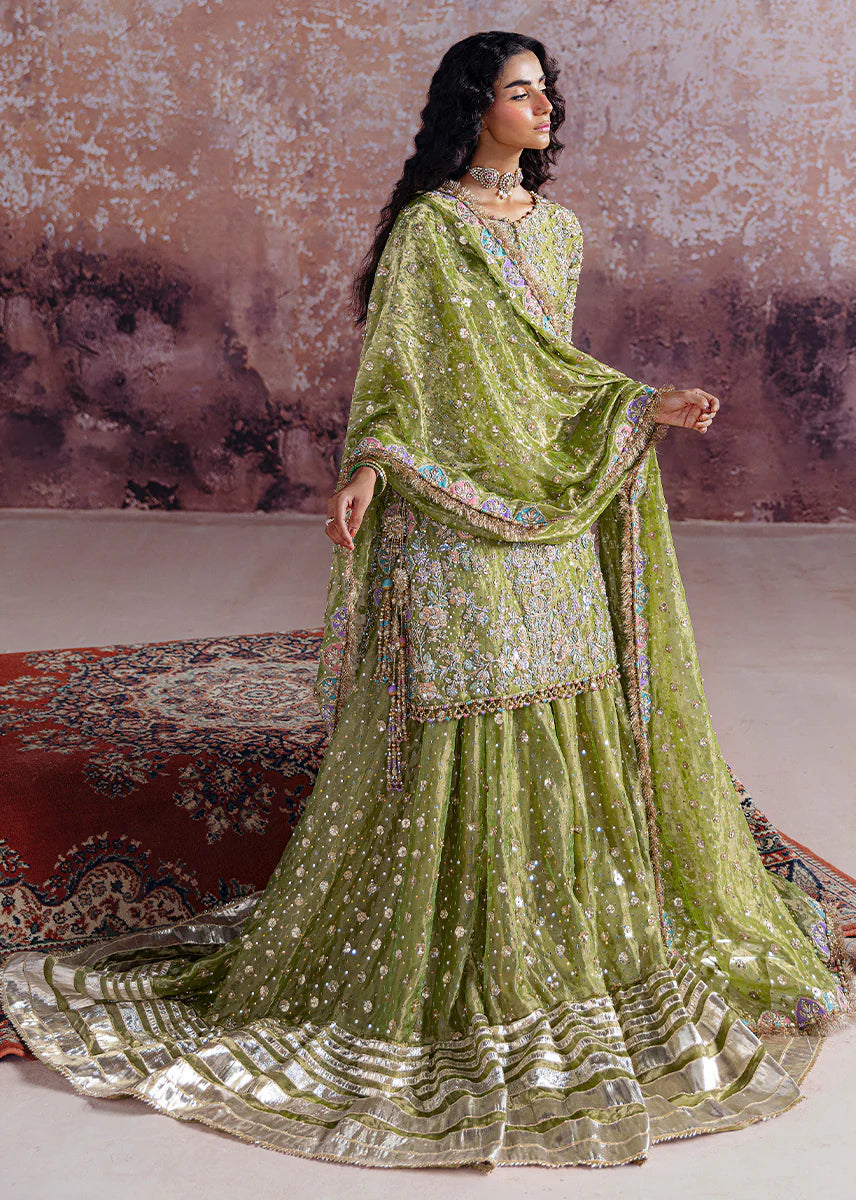 SRA - Luxury Handmade Shadan Farshi Gharara