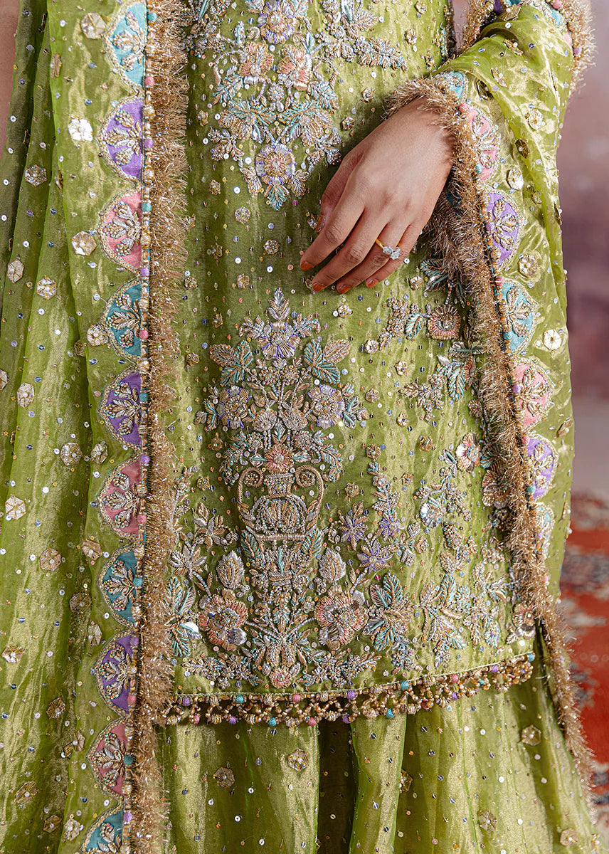 SRA - Luxury Handmade Shadan Farshi Gharara