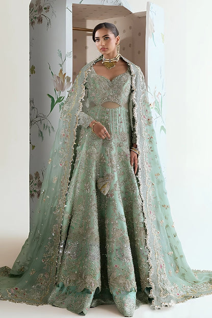 Suffuse Brial Wear Ashal