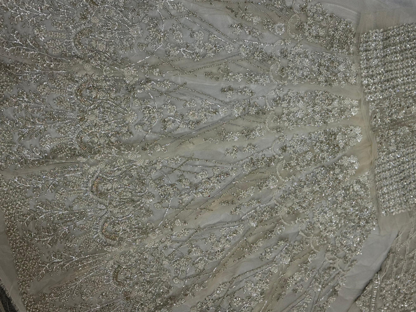 Erum Khan - Moonlit Majesty 02